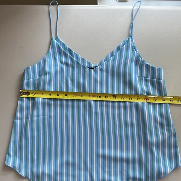 Forever 21 Blue and White Striped Camisole - Picture 5 of 11